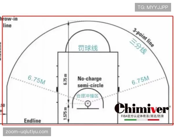 《篮球规则详解》新手必读：后场规则是什么？3分钟教你搞懂基本概念