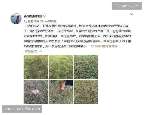 观众冲入球场干扰比赛，裁判为何能直接判负？
